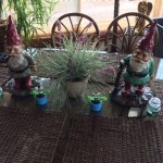 Summer Table Gnomes